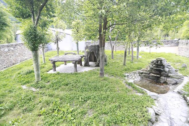 푸바오가 생활할 중국 쓰촨성 선수핑기지 야외 방사장 [촬영 정성조]