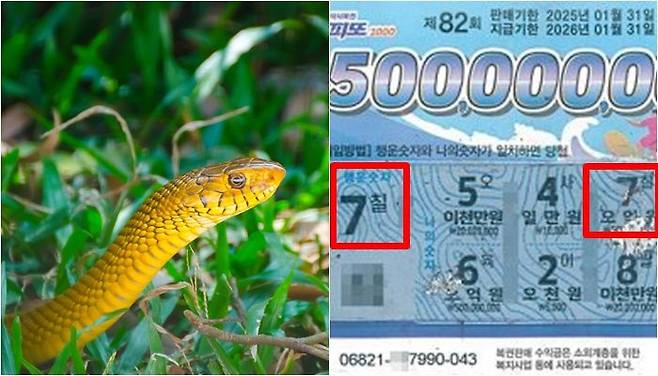 /사진=게티이미지뱅크, 동행복권