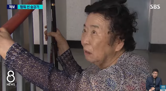 /사진=SBS 보도 화면 캡쳐