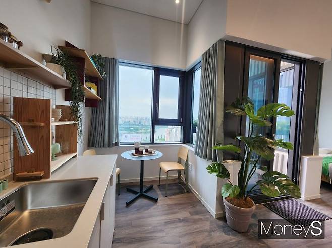 프라이빗 테라스를 품은 전용면적 24.63㎡의 플랫 타입 매물./사진=정영희 머니S 기자