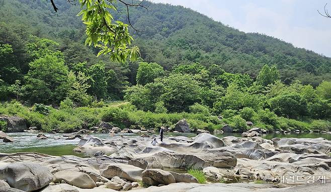 주천강 주변에 형성된 화강암 너럭바위(요선암) 지대
