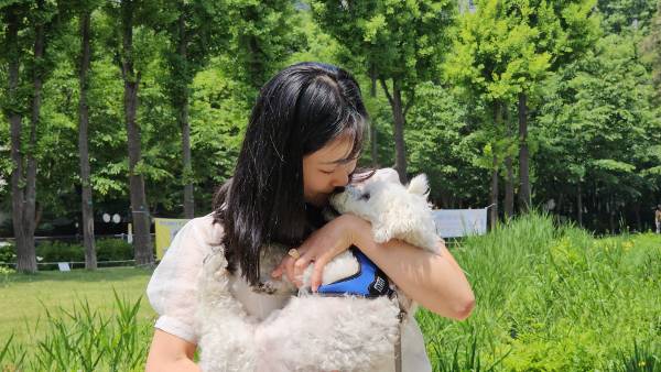 죽음이 임박한 노령견은 일반적으로 입양을 준비하는 임시보호를 받기 어렵다. 하지만 13세 몰티즈 설기는 임보자 현진씨를 만나 돌봄을 받고 있다. 설기는 시청각을 잃었지만, 여느 반려견처럼 산책을 즐긴다. 단 체력은 예전 같지 않아서 산책 20분 만에 현진씨 품에 안겨 집에 돌아간다. 이성훈 기자