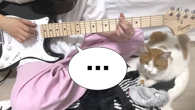 [서울=뉴시스] 2022년 8월 3일 유튜브 채널 '마복필'에는 '뉴진스 학생들의 얌미 하입 보이'라는 제목의 영상이 올라왔다 (사진= 유튜브 채널 '마복필' 캡처 ) 2024.6.12. photo@newsis.com *재판매 및 DB 금지