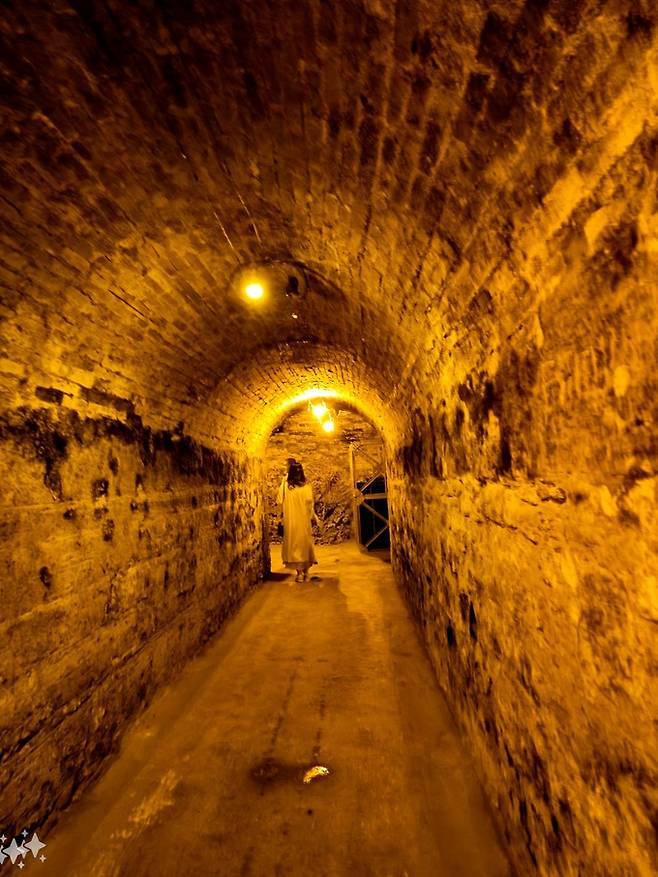 롬바흐 셀러. 최현태 기자