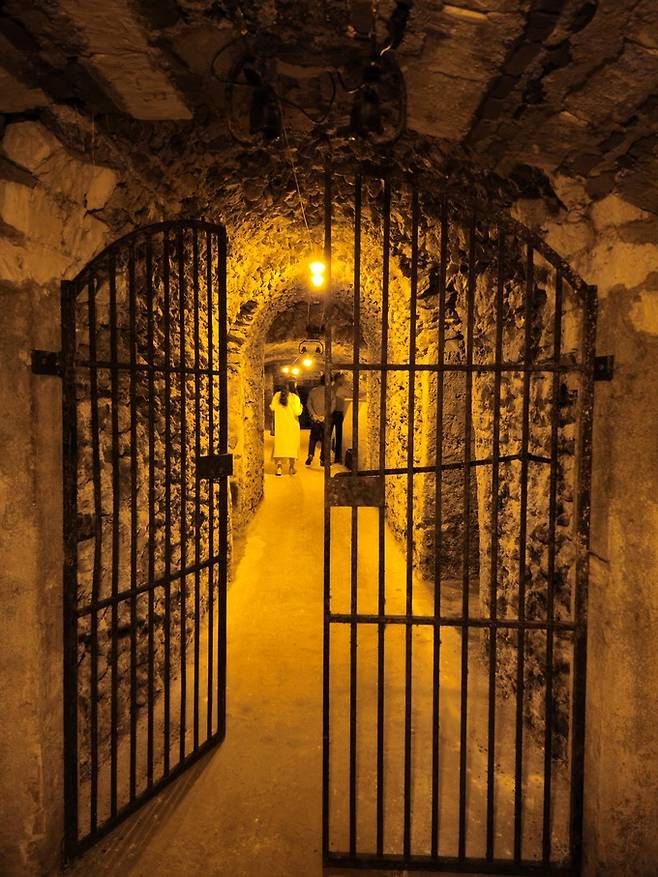 롬바흐 셀러. 최현태 기자