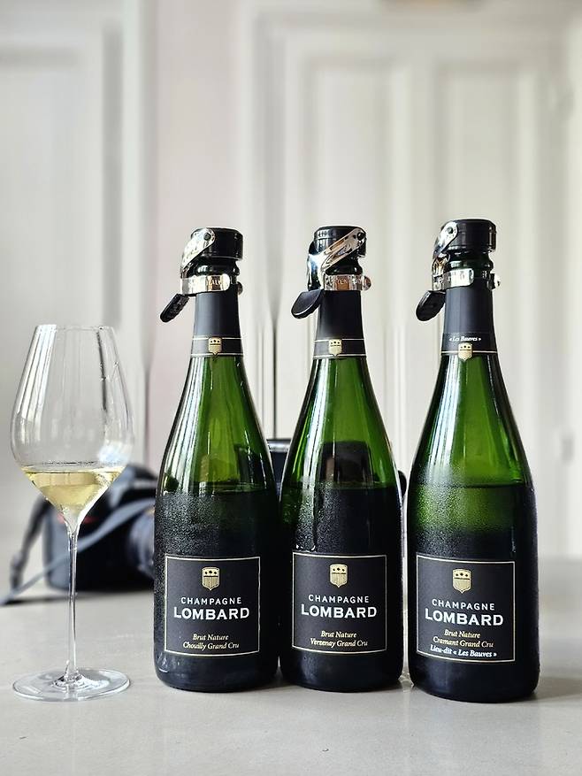 제로 도사주 롬바흐 떼루아 라인 그랑크뤼.&nbsp; 최현태 기자