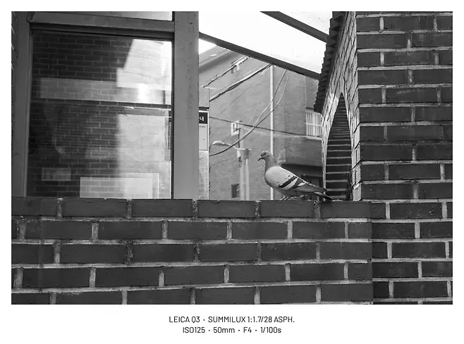 viewimage.php?id=29b4d72ff1d334b667bcc2a004d4&no=24b0d769e1d32ca73fe980fa11d028315d554368bac55d95d5bf54b6a5802c0f8e5e7ec3997de4fac4c7c4913b4c7268f2b521e72db2b7a2504478b67b8eeabb8d330dc14b45