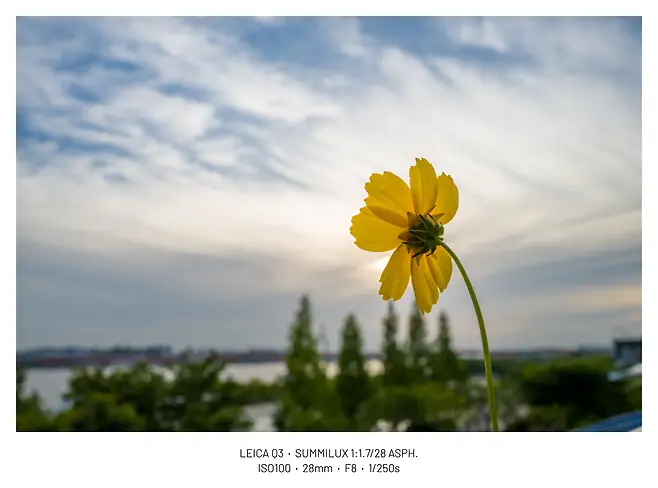 viewimage.php?id=29b4d72ff1d334b667bcc2a004d4&no=24b0d769e1d32ca73fe980fa11d028315d554368bac55d95d5bf54b6a5802c0f8e5e7ec3997de4fac4c7c4913b4c7268f2b521e72db2b7a2504325b67fd8baea841f8758cf81