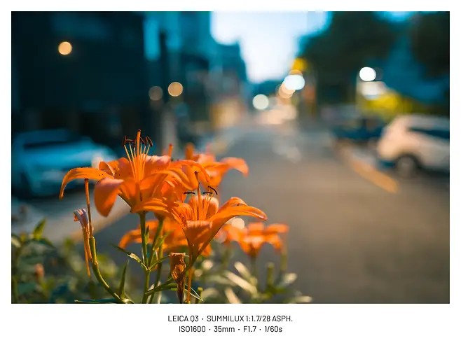 viewimage.php?id=29b4d72ff1d334b667bcc2a004d4&no=24b0d769e1d32ca73fe980fa11d028315d554368bac55d95d5bf54b6a5802c0f8e5e7ec3997de4fac4c7c4913b4c7268f2b521e72db2b7a2501270b62585efeb94629ddb3ea0