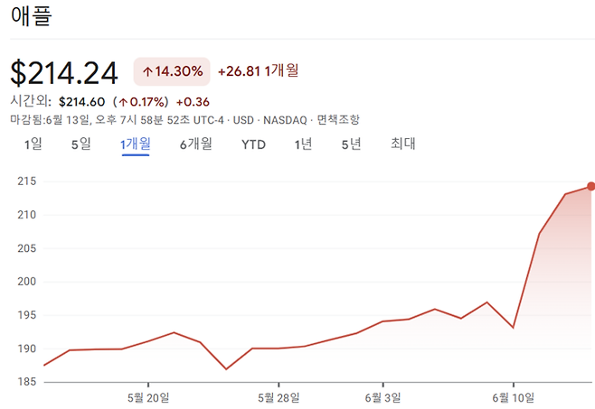 최근 한달간 애플 주가 흐름. [사진 = 구글 파이낸스]