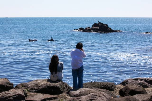 제주 영락리 포구/제주관광공사