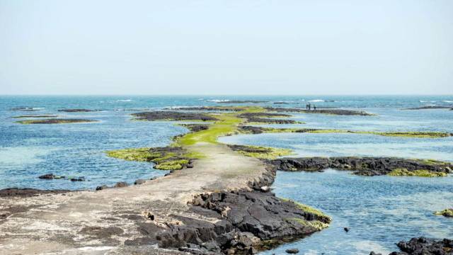떠오르는 길 /제주관광공사