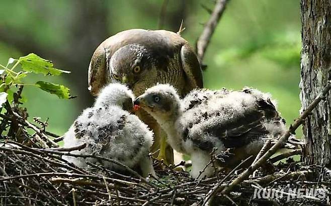 '그래, 형이 미안하다'엄마가 자신의 편을 들어주자 형이 동생에게 사과하고 있다.