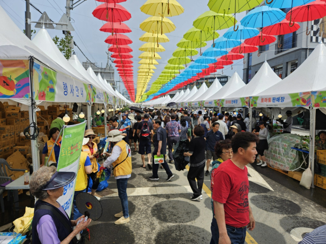 15일 오후 화창한 날씨 속에 퇴촌 토마토 축제 행사장에 몰린 시민들. 사진 = 손대선 기자