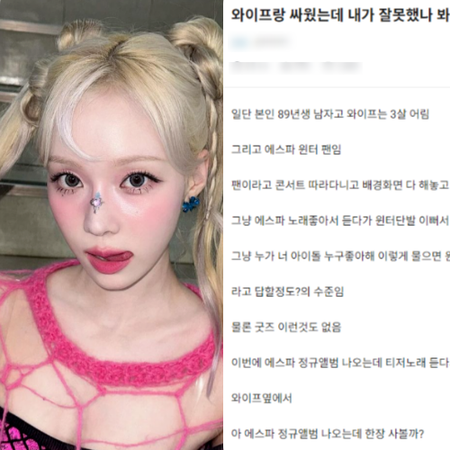 에스파 '윈터'의 팬인 남성이 앨범 구매와 관련해 아내와 갈등을 빚고 이혼을 고려중이라는 사연이 전해졌다. [사진=윈터 인스타그램, 온라인 커뮤니티 갈무리]