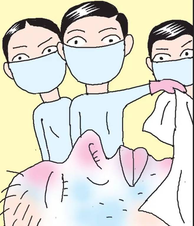 보건복지부는 치과대학과 한의과대학을 포함한 전국 의대에 영리 목적의 시신 해부 참관 교육을 중단할 것을 요구하는 공문을 보냈다고 17일 밝혔다. /일러스트= 조선DB