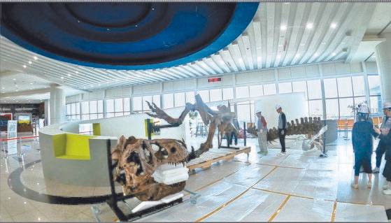공룡연구 200주년 특별전을 위해 제작한 세계 최대 티라노사우루스 ‘스코티’의 레플리카를 조립하는 모습. 국립과천과학관