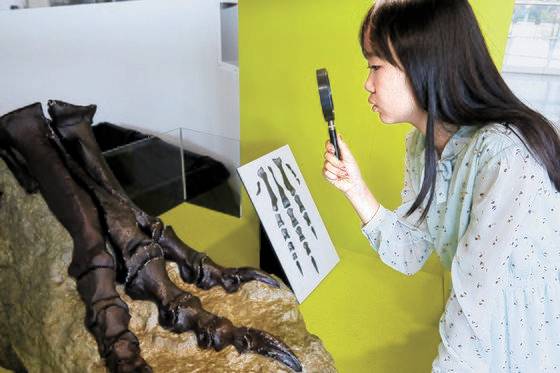 티라노사우루스의 독특한 뒷발을 관찰하는 김지우 학생기자.