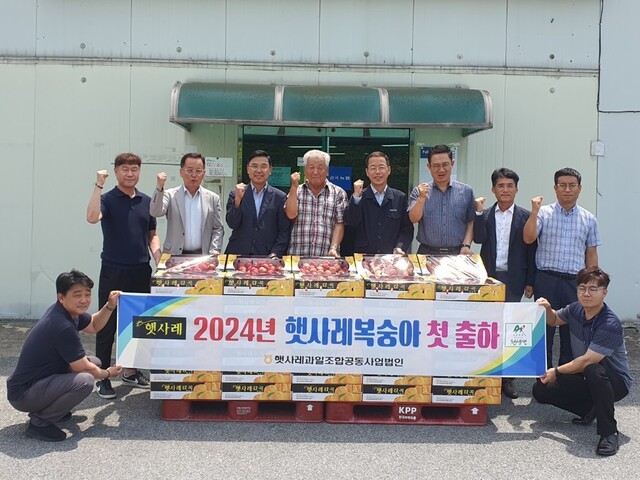 정지태 충북 음성 감곡농협 조합장(왼쪽 세번째)이 14일 농산물산지유통센터(APC)에서 관계자와 함께 ‘햇사레 복숭아’ 첫 출하를 축하하고 있다.