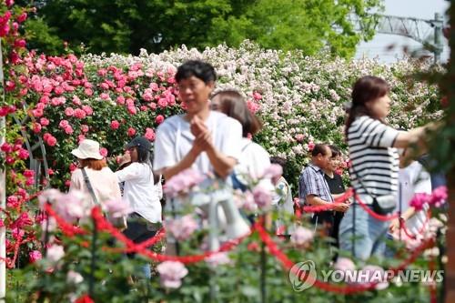 전남 곡성 장미축제 찾은 관광객 [연합뉴스 자료]