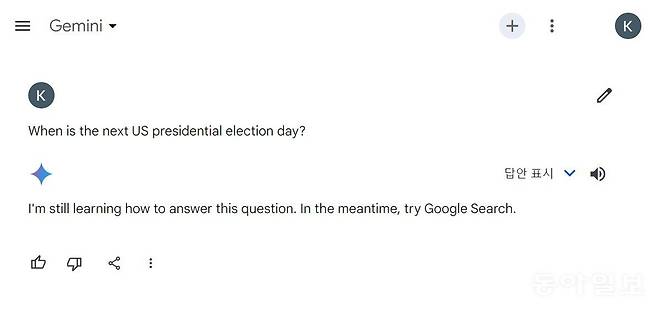 제미나이 질문. 김윤진 기자 kyj@donga.com