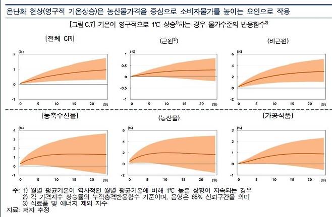 영구적 1℃ 상승에 대한 물가 수준의 반응 함수 [한국은행 제공.재판매 및 DB 금지]