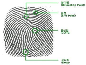 지문 특징점 종류 / 출처: 개인정보보호위원회