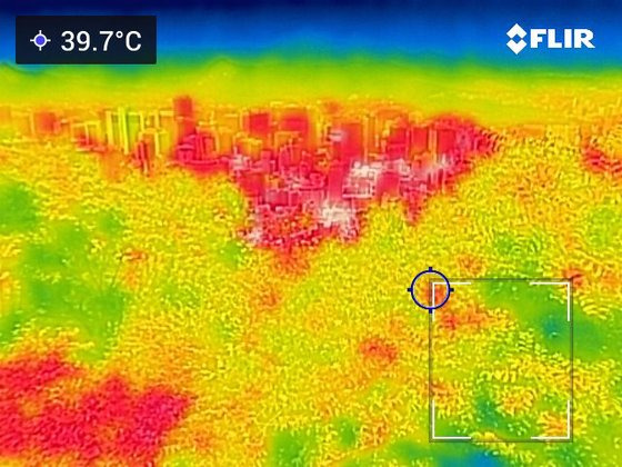 서울의 최고기온이 35도까지 오르며 올여름 첫 폭염주의보가 내려진 19일 오후 서울 남산에서 열화상카메라로 본 도심과 숲의 온도차가 다르게 나타나고 있다.  온도가 높을수록 화면상에 붉은색으로 나타나며 상대적으로 온도가 낮은 곳은 푸른색으로 나타난다. (열화상 카메라 촬영) 뉴스1