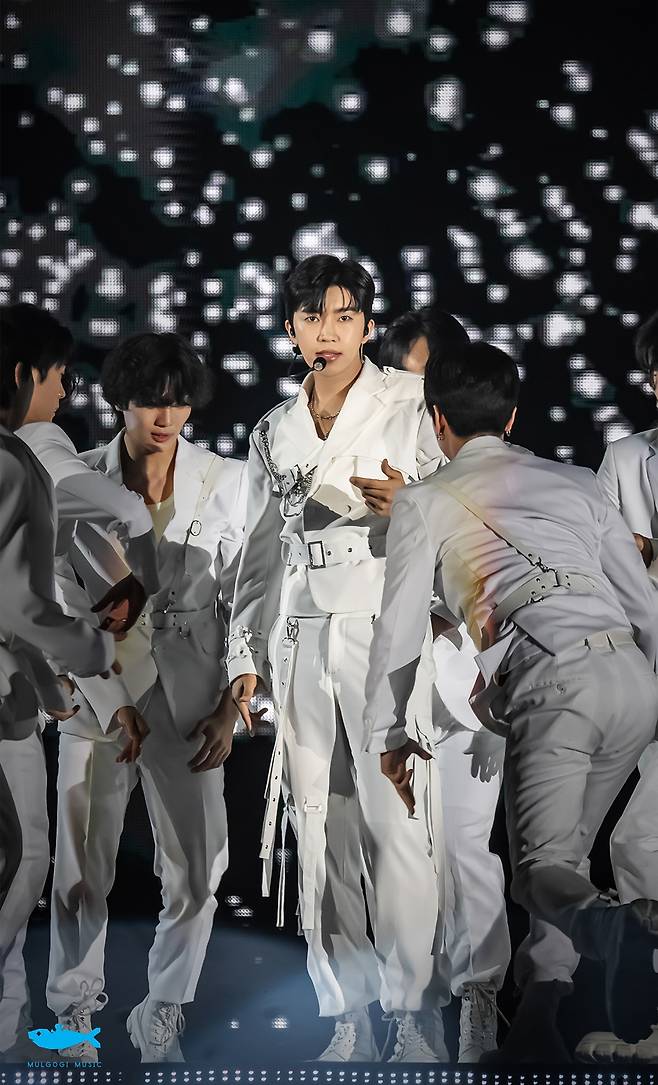 "영웅시대는 별빛" 임영웅 '무지개' 콘서트 영상 1600만뷰