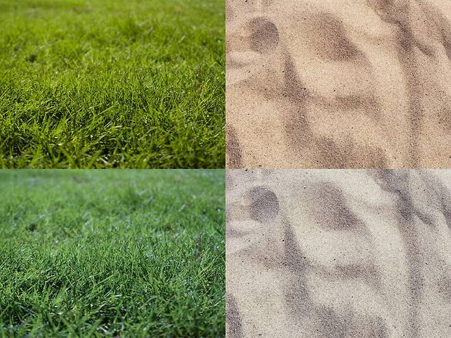 화면에 무채색 물체가 없으면 자동 화이트밸런스가 아래처럼 오작동하기 쉽다