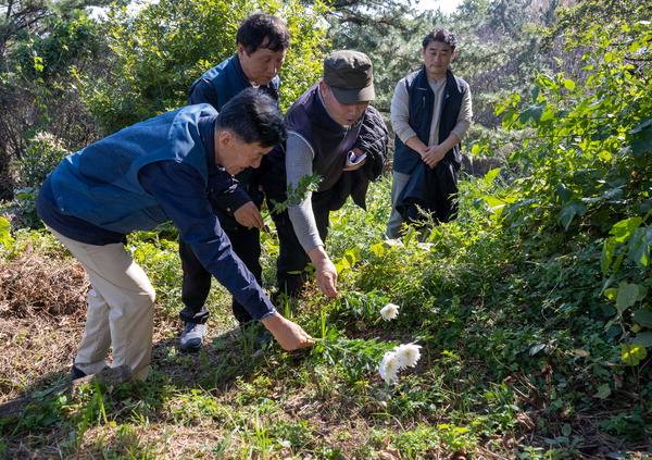 손석주 영화숙 재생원 피해생존협의회 대표가 내달 유엔 고문방지위원회에 출석해 증언한다. 사진은 영화숙·재생원 피해자들이 사망자가 묻힌 야산에서 헌화 하는 모습. 이원준 기자