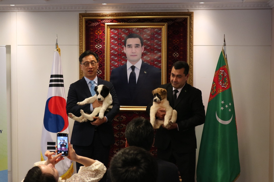The Embassy of Turkmenistan in Seoul hosts an event on Wednesday to celebrate the Korean government’s reception of two Alabai dogs gifted by Turkmenistan’s former president during President Yoon Suk Yeol’s recent state visit to the country. [PRESIDENTIAL OFFICE]