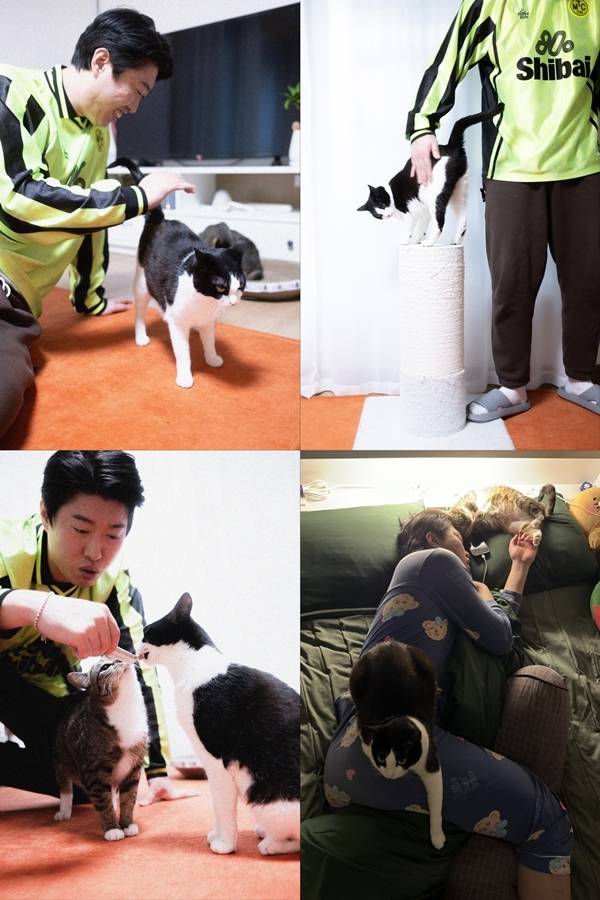사진 = 송하빈