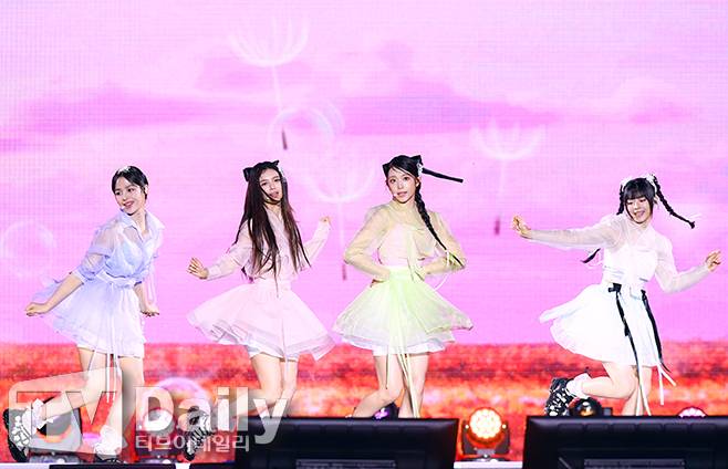 티브이데일리 포토