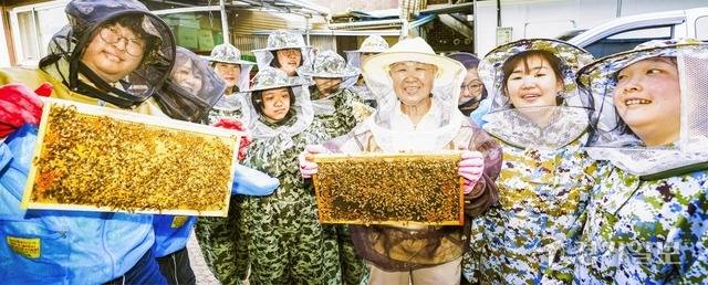 경기도농업기술원이 ‘농업과 복지의 연계’를 목표로 몸과 마음이 불편한 시민들의 재활을 돕는 ‘치유농장’ 85개소를 운영해 큰 호응을 얻고 있다. 치유농장 중 한 곳인 화성시 봉담읍 ‘최 은명자연꿀’에서 최은명 대표가 발달장애인들과 함께 벌꿀을 만드는 과정을 체험하며 이들이 심리적 안정을 찾는 데 도움을 주고 있다. 홍기웅기자