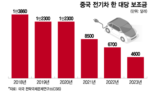 중국 전기차 한 대당 보조금/그래픽=이지혜