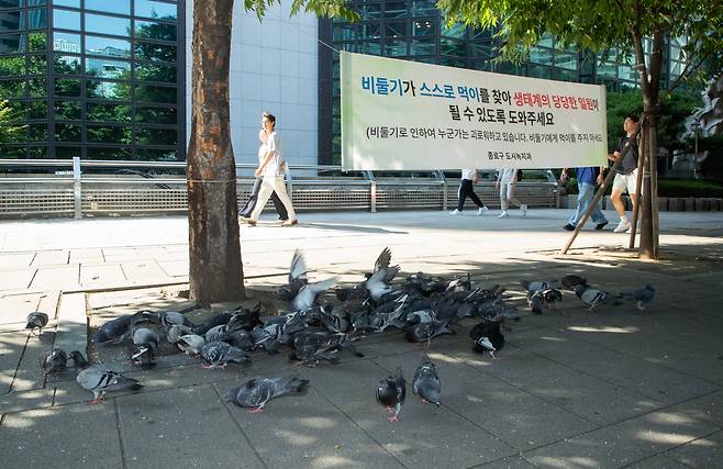 지난 13일 서울 종각역에 종로구 도시녹지과가 비둘기에게 먹이를 주지 말라는 취지로 만든 현수막이 걸려 있는 가운데 누군가가 뿌린 먹이를 먹기 위해 비둘기들이 모여 있다. /박상훈 기자