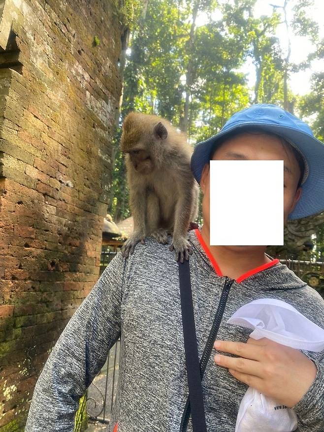 귀여운 아기 원숭이와 살찐 원숭이.