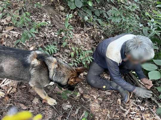 실종자 수색에 투입된 구조견 고고와 고고가 발견한 실종자. 연합뉴스