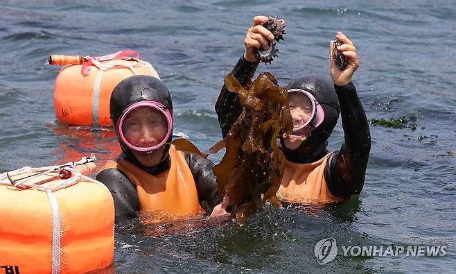 제주 해녀 [연합뉴스 자료 사진]