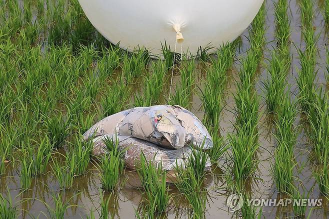 강화도 논에 떨어진 북한 '대남 풍선' [연합뉴스 자료사진]