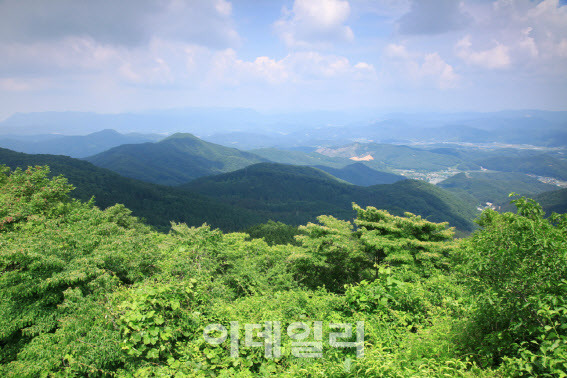 축령산 정상 능선. (사진=국립장성숲체원 제공)