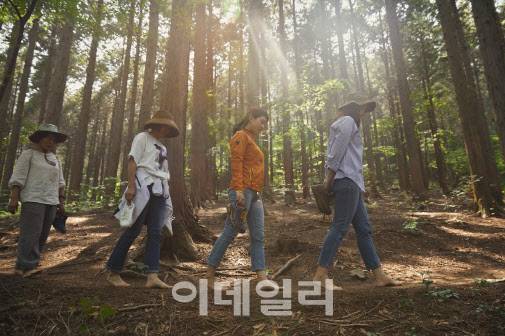 방문객들이 축령산 편백숲에서 맨발 산책을 하고 있다. (사진=국립장성숲체원 제공)