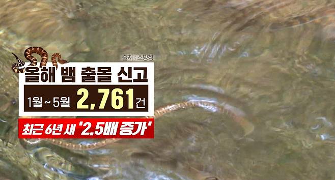 [그래픽] 오은지