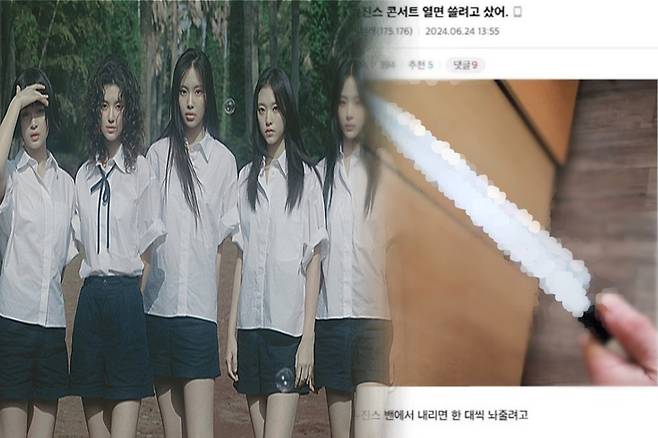 사진 = 어도어, 온라인커뮤니티 캡처