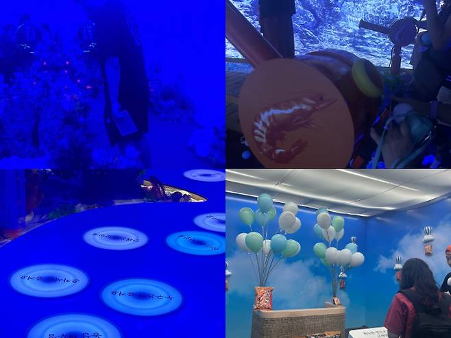 '고래섬' 탈출 미션을 시작한 방문객들은 차례대로 4가지의 미션을 수행하게 된다. 왼쪽 위부터 시계방향으로 '보물 찾기' '대포쏘기' 'CM가사 맞히기' '깡 모형 조립하기'이다. /사진=김지은 기자