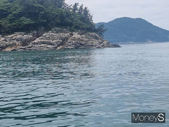 실종된 낚시객이 숨진 채 발견된 안도 해상/사진=여수해경 제공