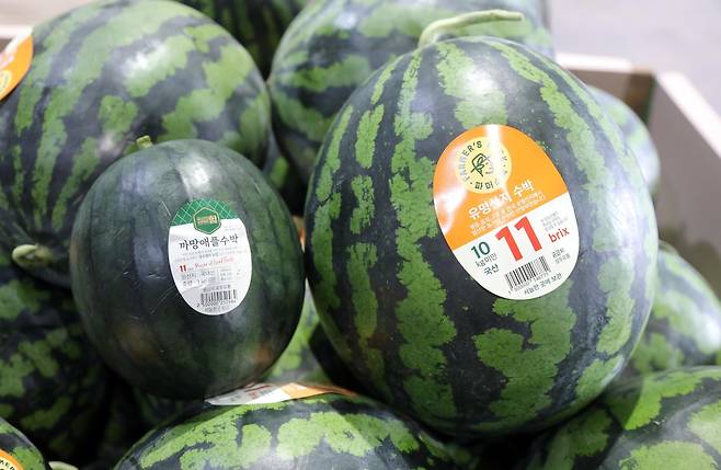 소품종 수박 브랜드의 대명사인 까망애플수박 [이마트 제공. 재판매 및 DB 금지]