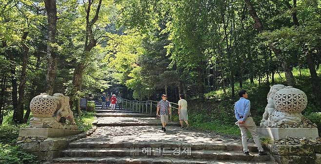 상원사의 초입. 양 편으로 사자상이 세워져 있다.