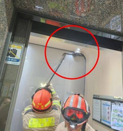 뱀에 물렸다면 119에 즉시 신고하고 뱀에 물렸던 장소에서 벗어나야 한다./사진=뉴시스/김포소방서 제공